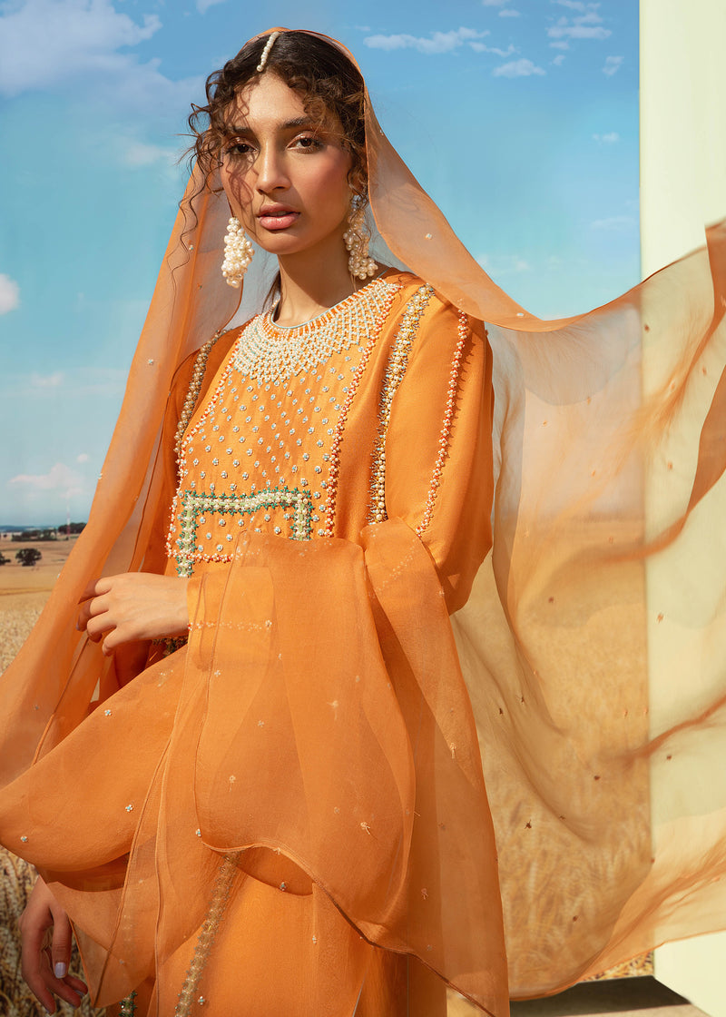 Solar Ray HussainRehar