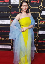Hania Amir